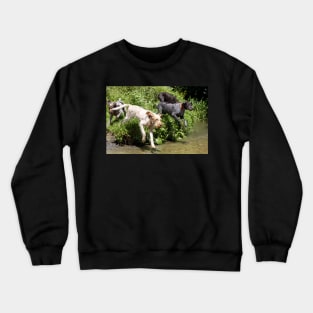 River adventure Spinone Crewneck Sweatshirt